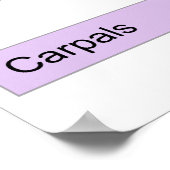 右手骨分割図 ポスター (角)