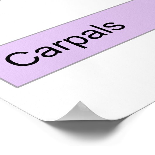 右手骨分割図 ポスター (角)