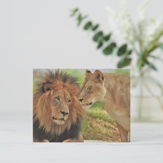 右翼 ポストカード (スタンド正面)