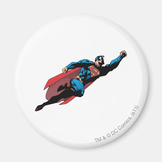 右飛んでいるへ – 漫画 マグネット (正面)