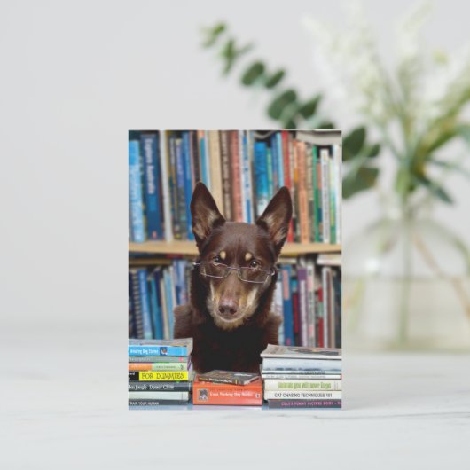 司書 ポストカード (スタンド正面)