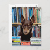 司書 ポストカード (正面/裏面)