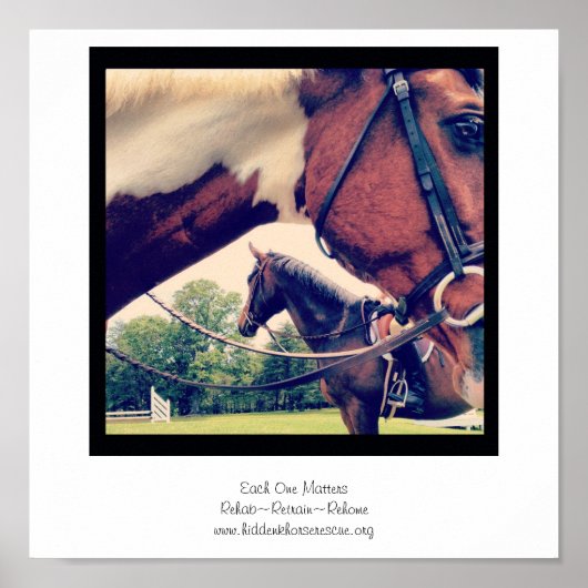 各問題のポスター ポスター (正面)