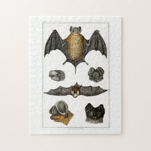 各種こうもり ジグソーパズル (縦)