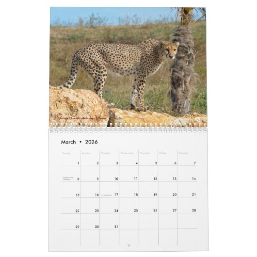 各種の動物12ヶ月カレンダー カレンダー (3月 2026)