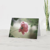 各種の場面で使えるグリーティングカード カード (正面)