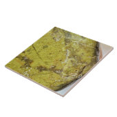 各種セミジェム大切ストーンのテクスチャ構造 タイル (側面)