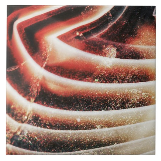 各種半原石大切組織構造 タイル (正面)