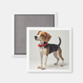 各種用途の磁石 マグネット (正面/裏面)