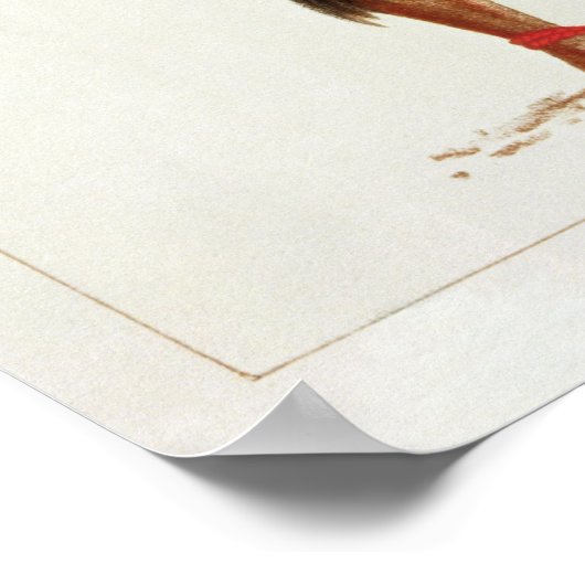 各種踊りコスチューム擦り切れたアットナクレロ，フィジー ポスター (角)