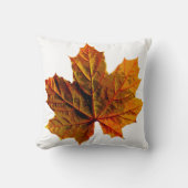 各部屋装飾用クッション クッション (正面)