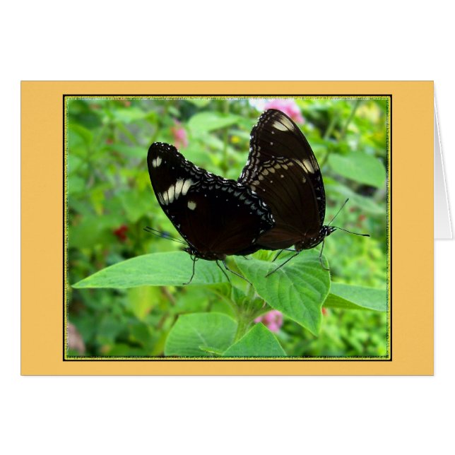 合うダンス (正面横)