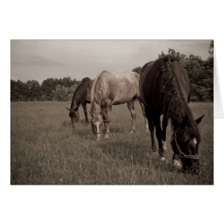 合わせられた食べること