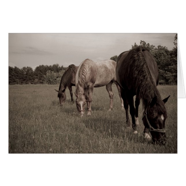 合わせられた食べること (正面横)