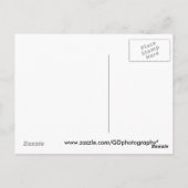 合唱団 ポストカード (裏面)