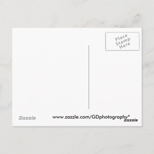 合唱団 ポストカード (裏面)