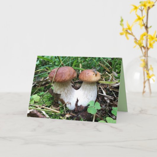 合接されたきのこの空白のな写真の挨拶状 カード (黄色い花)