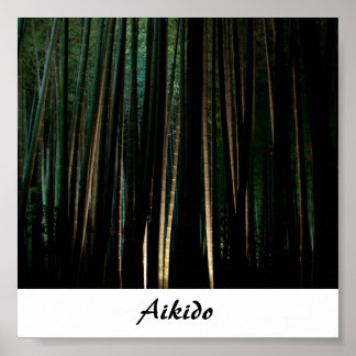 合気道日本の武術アート ポスター