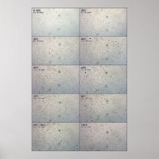 合流後を追表 ポスター