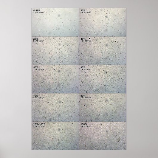 合流後を追表 ポスター (正面)