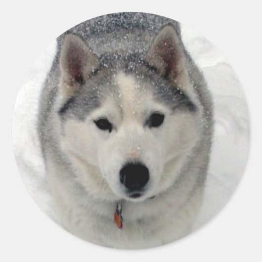 合計式 ラウンドシール (正面)