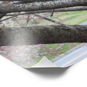 吉野さくらんぼツリー16"x20"フォトプリント フォトプリント (角)