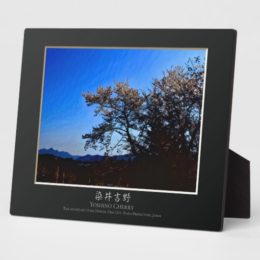 吉野さくらんぼ フォトプラーク (側面)