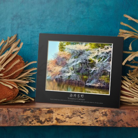 吉野さくらんぼ フォトプラーク (側面)