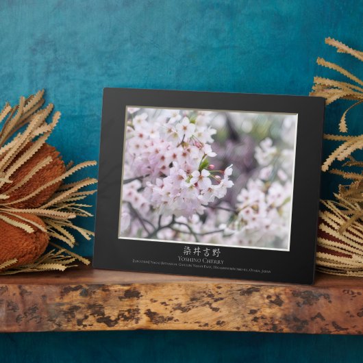 吉野さくらんぼ フォトプラーク (側面)