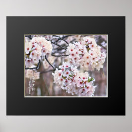 吉野さくらんぼ ポスター