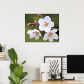 吉野さくらんぼ：ポスター ポスター (ホームオフィス)