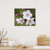 吉野さくらんぼ：ポスター ポスター (キッチン)