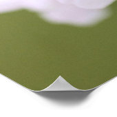 吉野桜：ポスター ポスター (角)