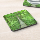 吊り橋 コースター (左側)