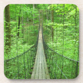 吊り橋 コースター (正面)