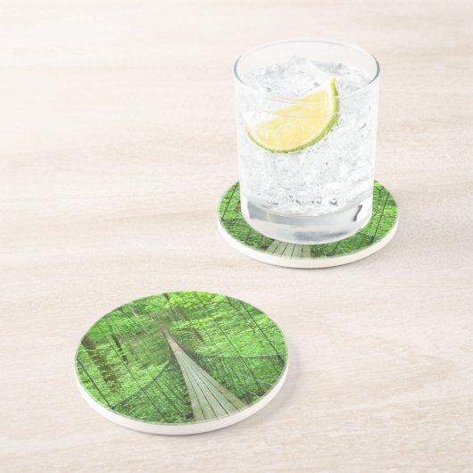 吊り橋 コースター (側面)