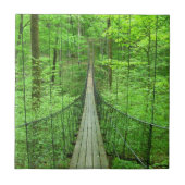 吊り橋 タイル (正面)
