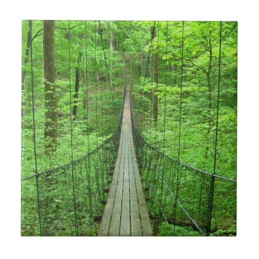 吊り橋 タイル (正面)