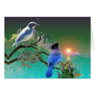 同じおよび違う