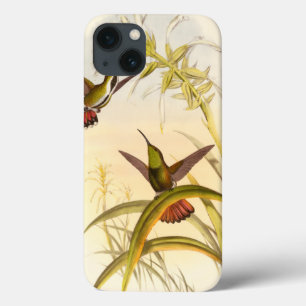 同じ花のために向けている2羽のカラフルなハチドリ iPhone 13ケース