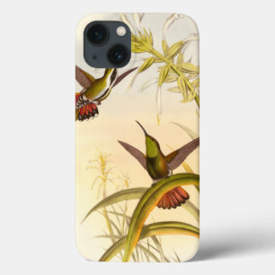 同じ花のために向けている2羽のカラフルなハチドリ iPhone 13ケース