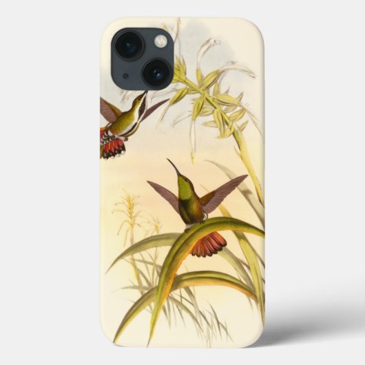 同じ花カラフルをめざすハチドリ2羽 Case-Mate iPhoneケース (裏面)