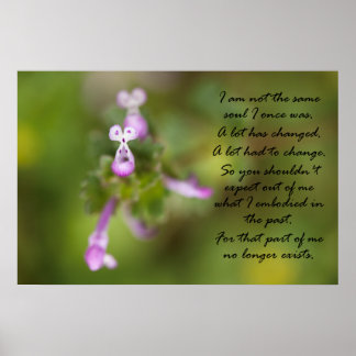 同じ魂ではない ポスター