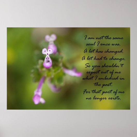 同じ魂ではない ポスター (正面)