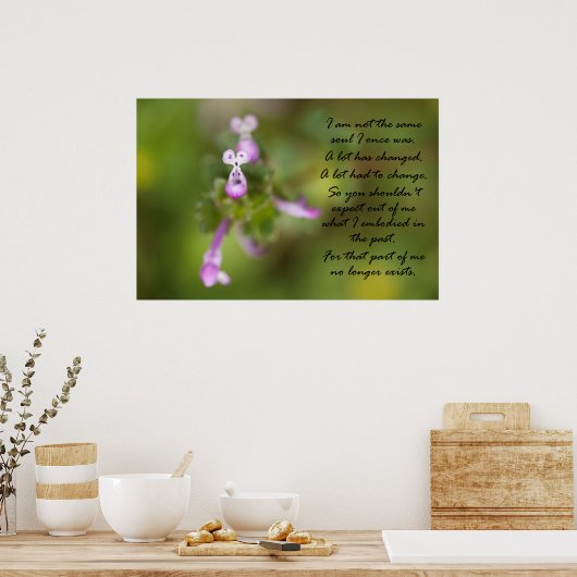 同じ魂ではない ポスター (キッチン)