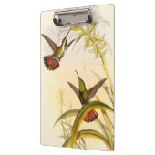 同カラフルじ花を目指すハチドリ二羽 クリップボード (左)