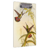 同カラフルじ花を目指すハチドリ二羽 クリップボード (右)