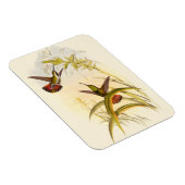 同カラフルじ花を目指すハチドリ二羽 マグネット (右側)