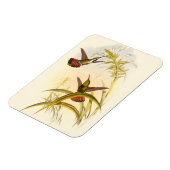 同カラフルじ花を目指すハチドリ二羽 マグネット (左側)