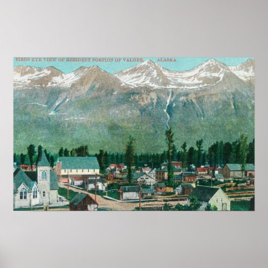 同市の居住地区の空中表示 ポスター (正面)